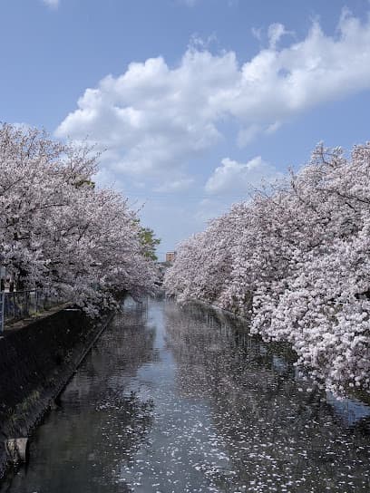 腕公園
