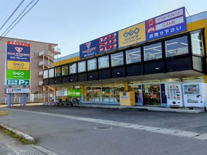 ゲオ 水島神田店